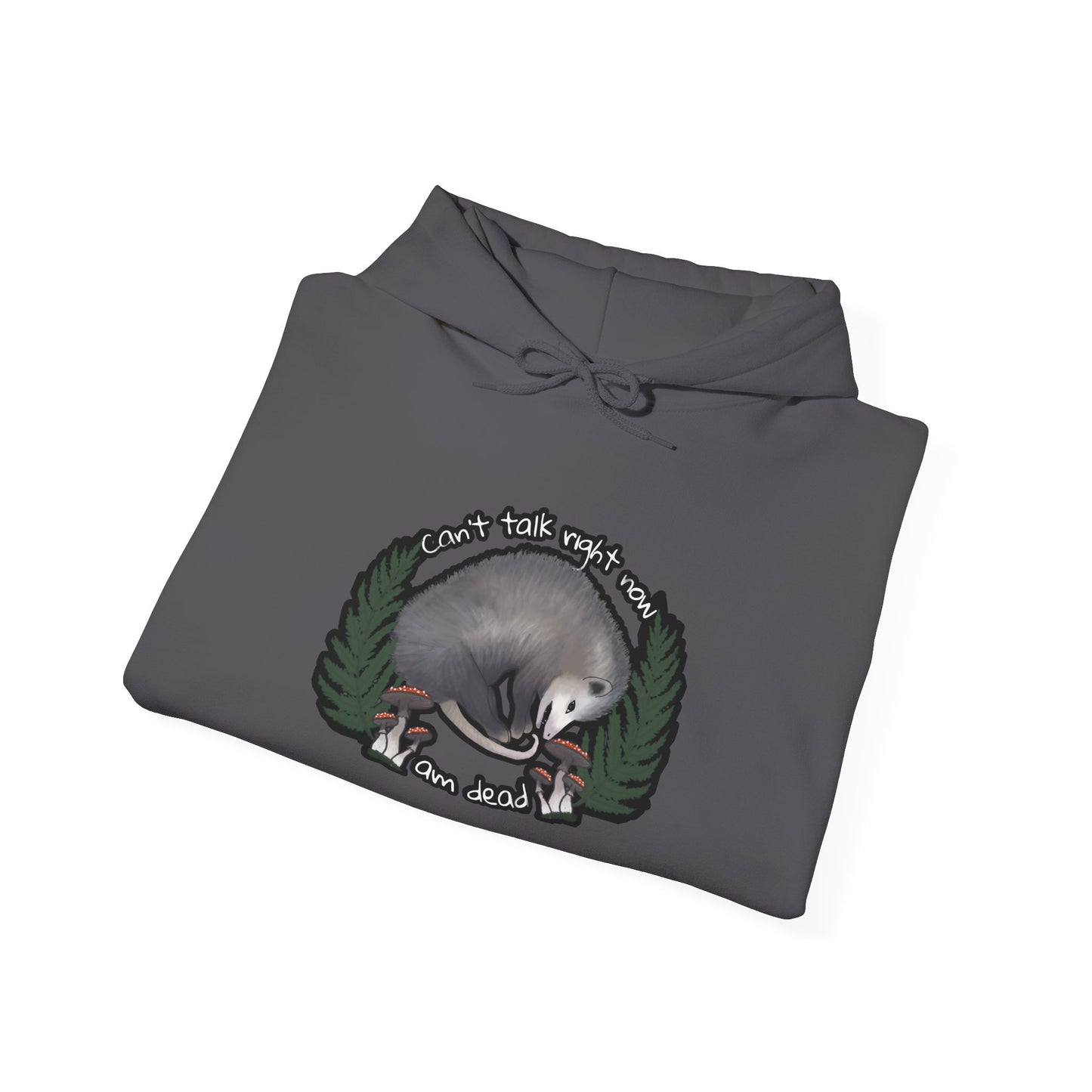 Hooded Sweatshirt - Raccoon Pick Up Your Trash Sign Design