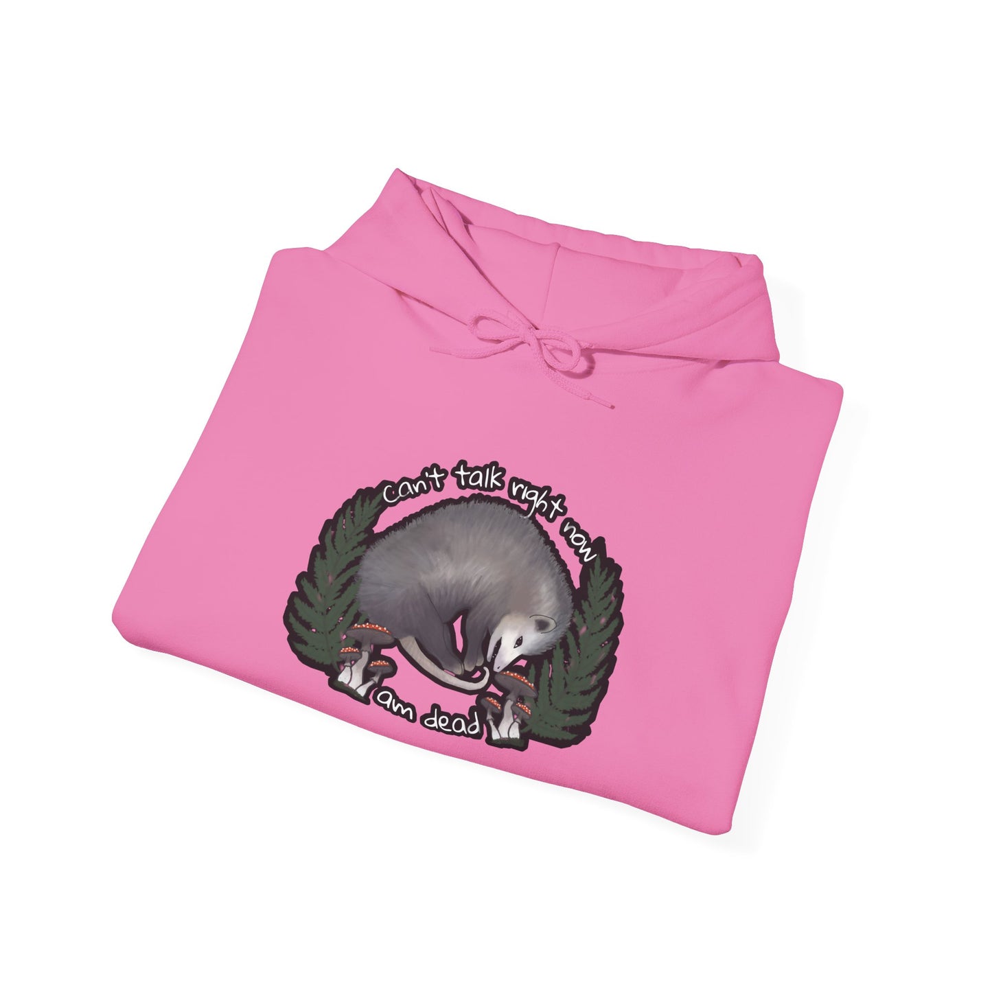 Hooded Sweatshirt - Raccoon Pick Up Your Trash Sign Design