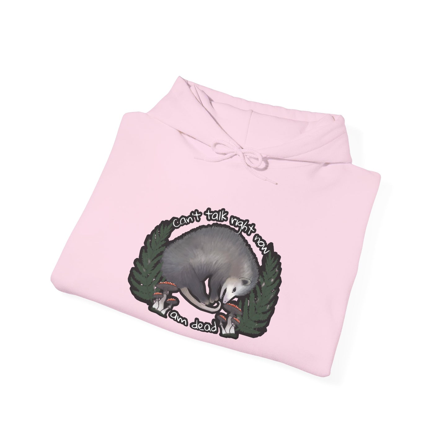 Hooded Sweatshirt - Raccoon Pick Up Your Trash Sign Design