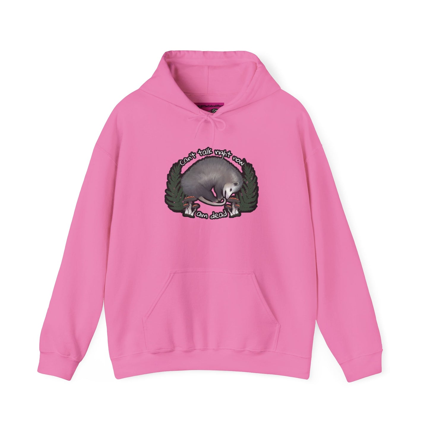 Hooded Sweatshirt - Raccoon Pick Up Your Trash Sign Design