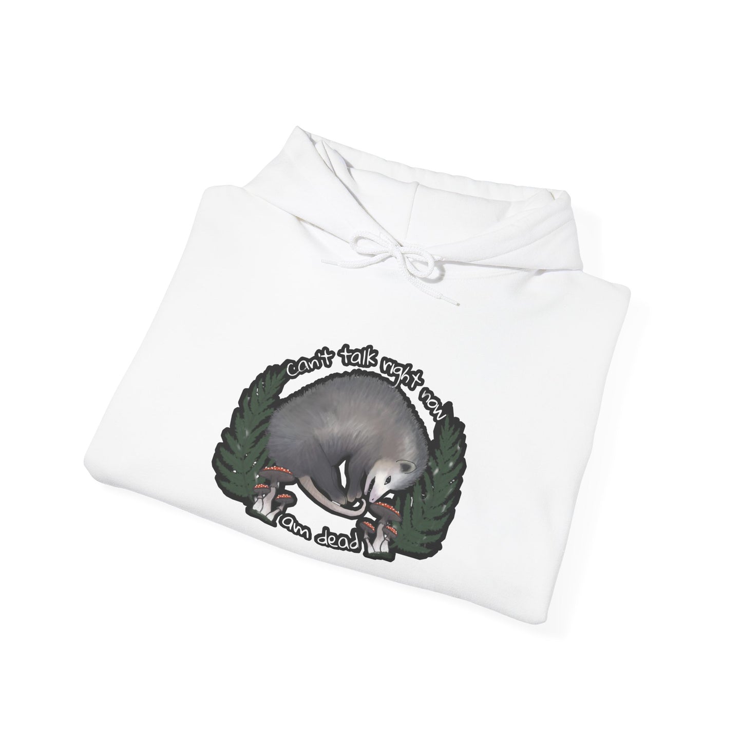 Hooded Sweatshirt - Raccoon Pick Up Your Trash Sign Design