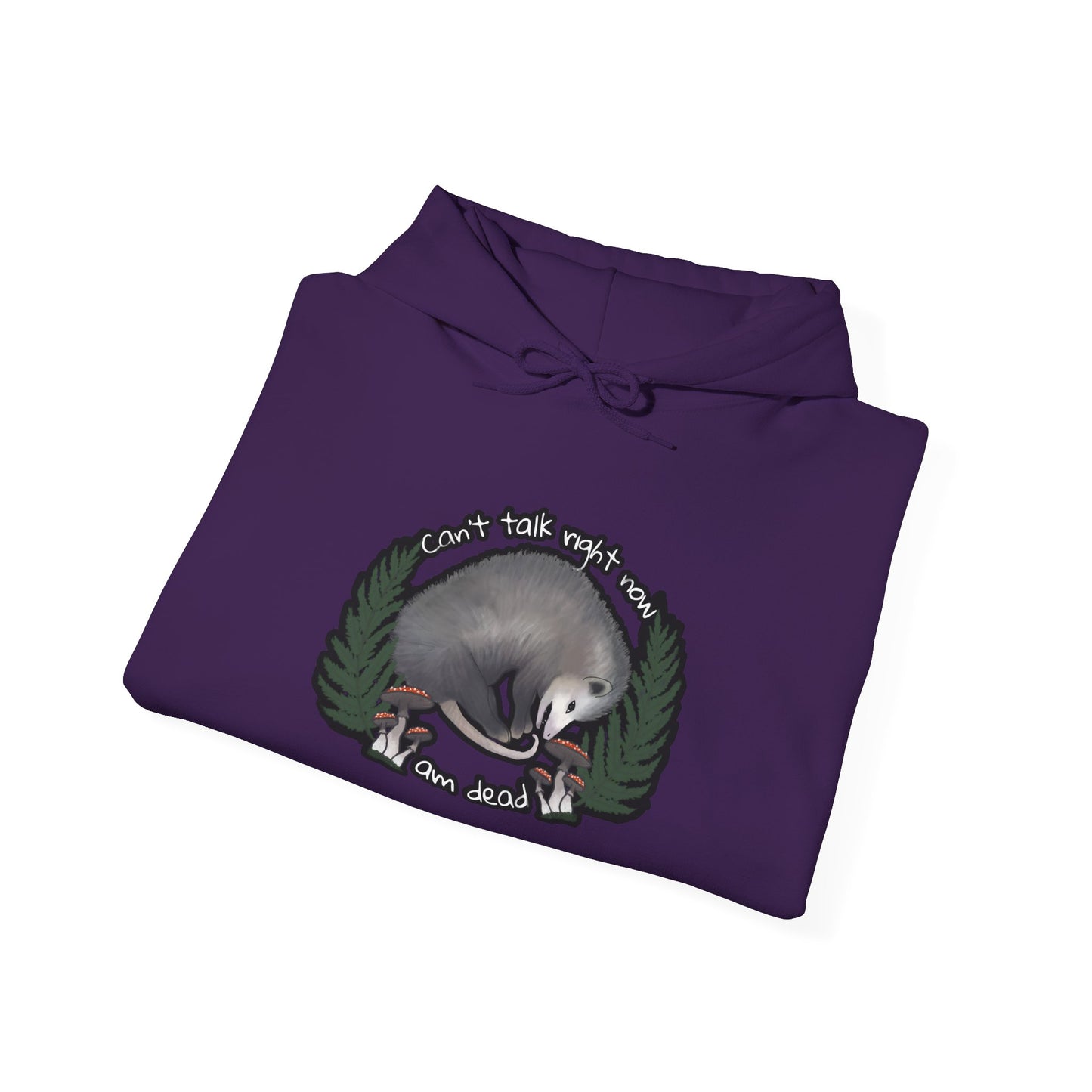 Hooded Sweatshirt - Raccoon Pick Up Your Trash Sign Design