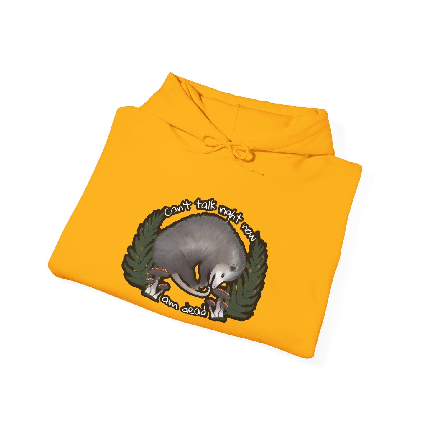 Hooded Sweatshirt - Raccoon Pick Up Your Trash Sign Design