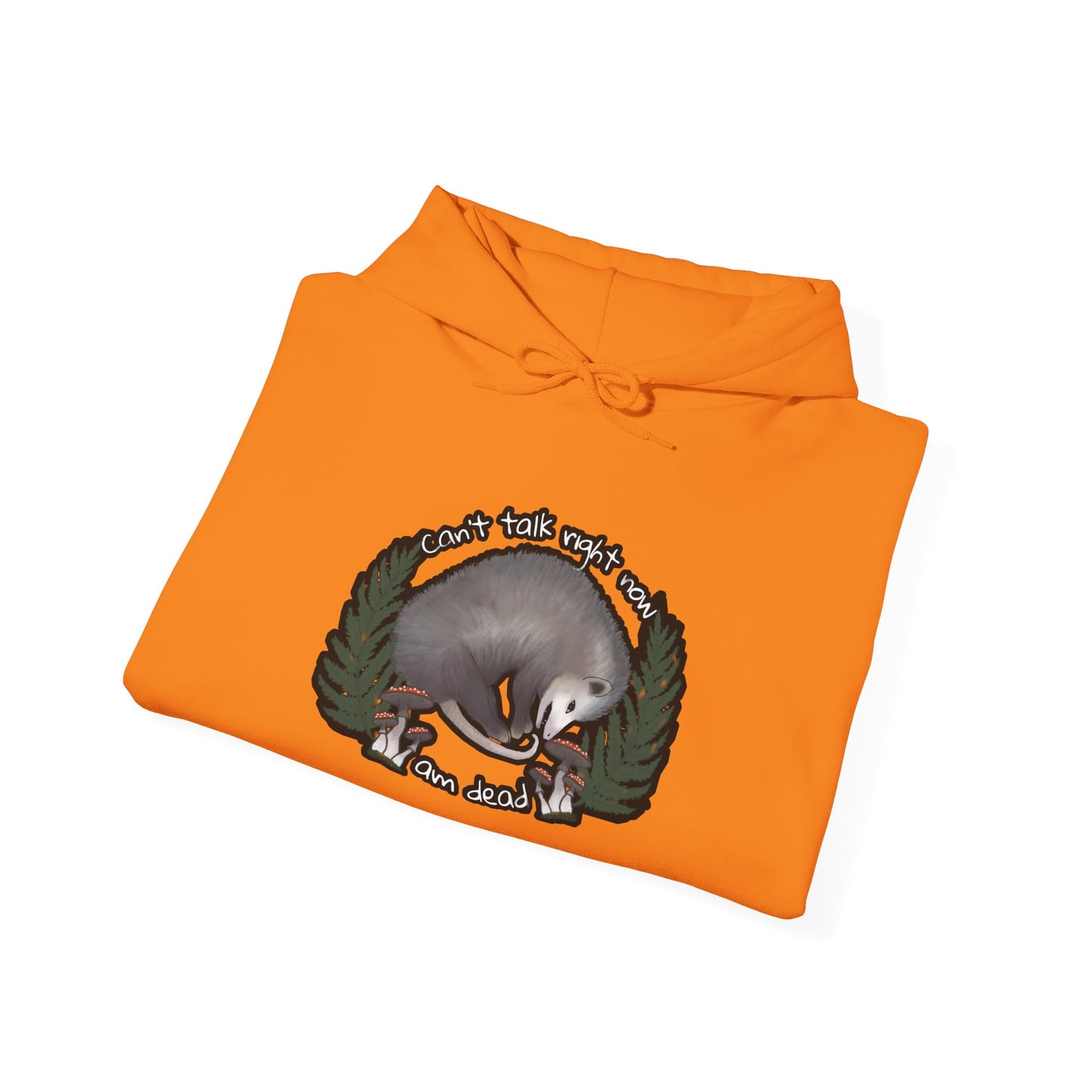 Hooded Sweatshirt - Raccoon Pick Up Your Trash Sign Design