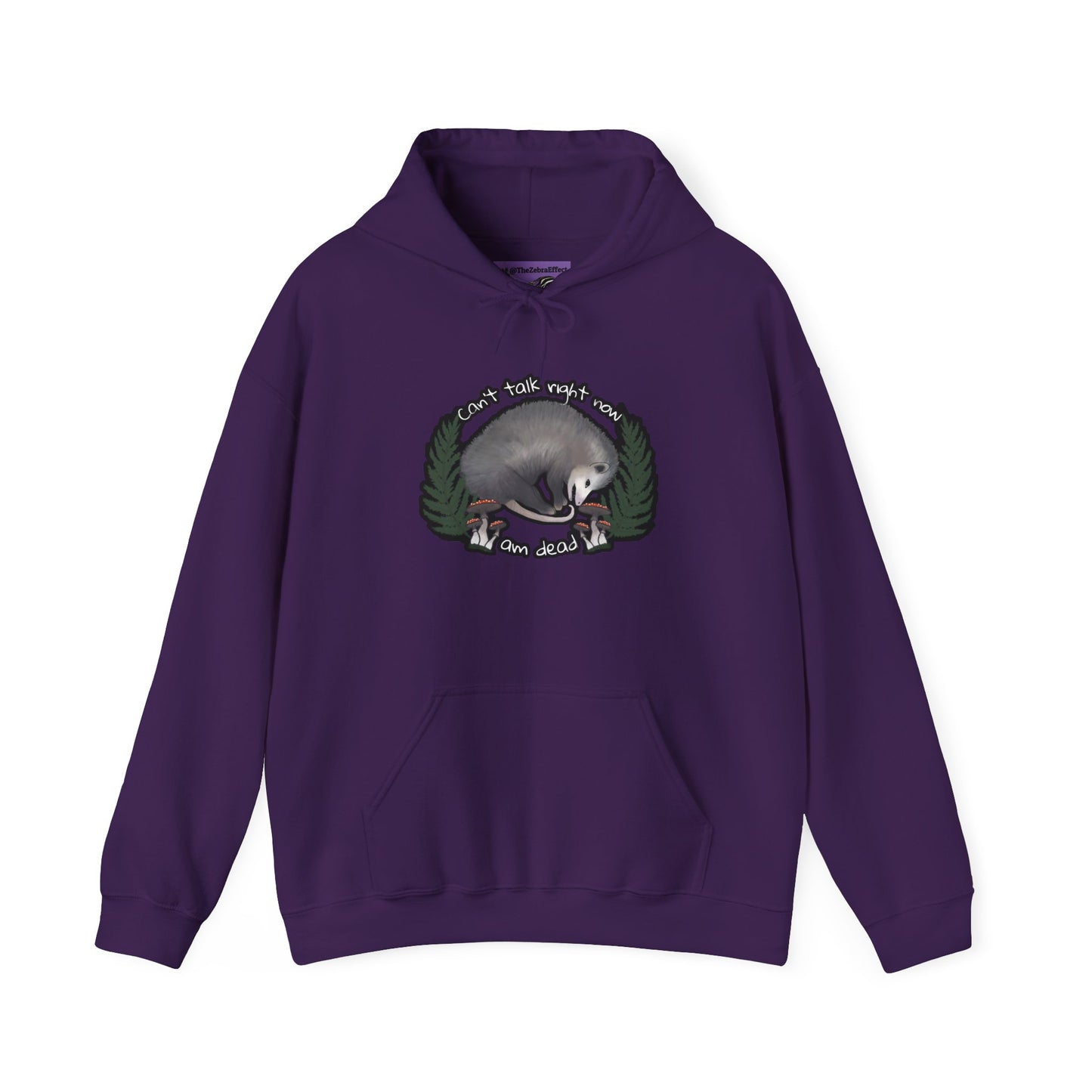 Hooded Sweatshirt - Raccoon Pick Up Your Trash Sign Design