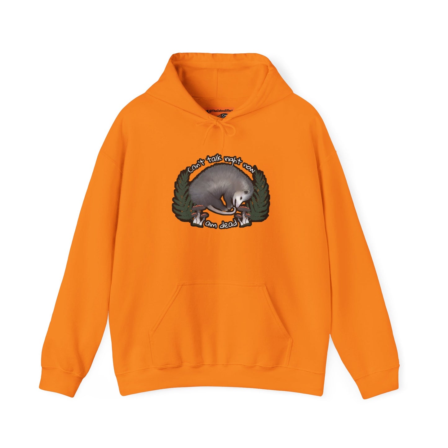 Hooded Sweatshirt - Raccoon Pick Up Your Trash Sign Design