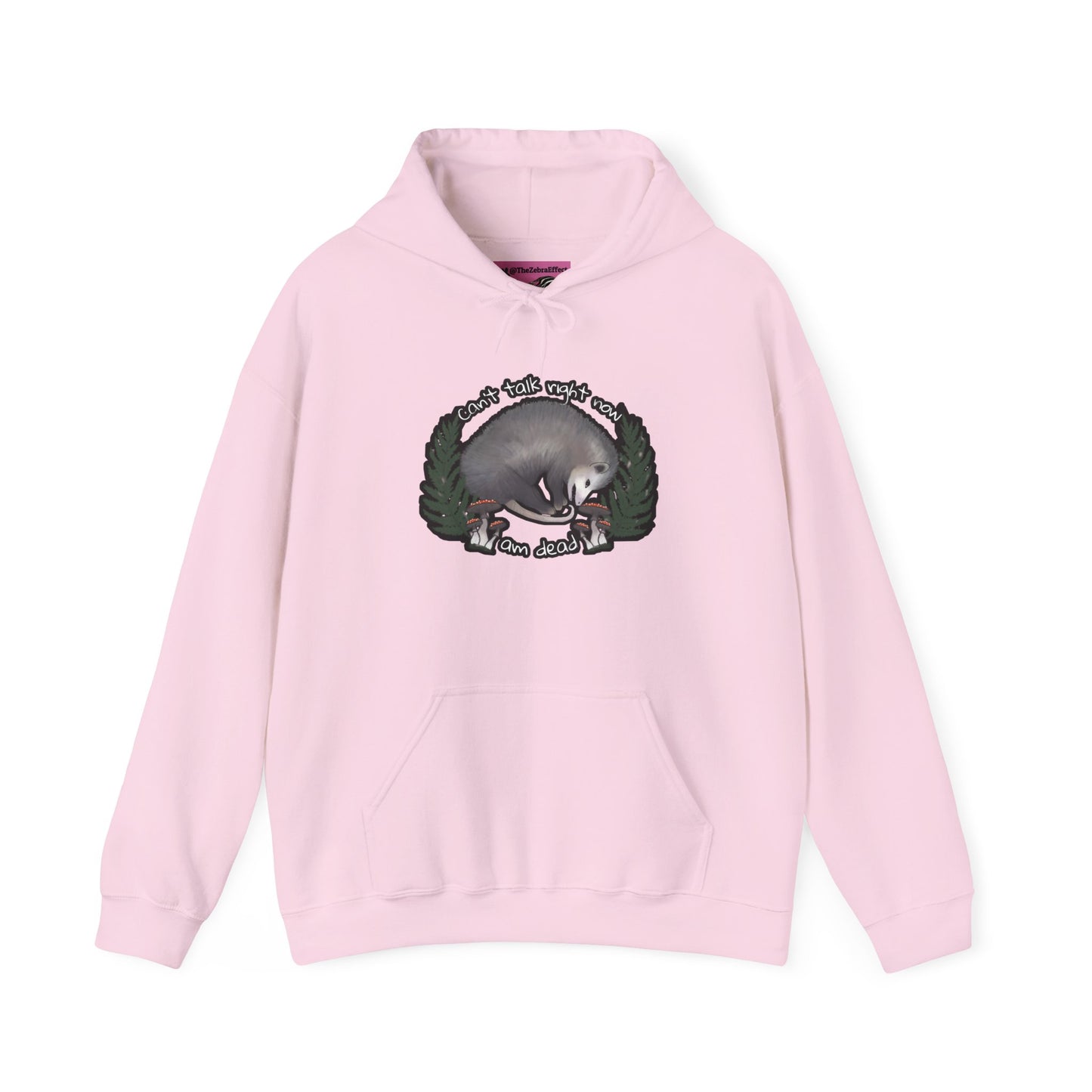 Hooded Sweatshirt - Raccoon Pick Up Your Trash Sign Design