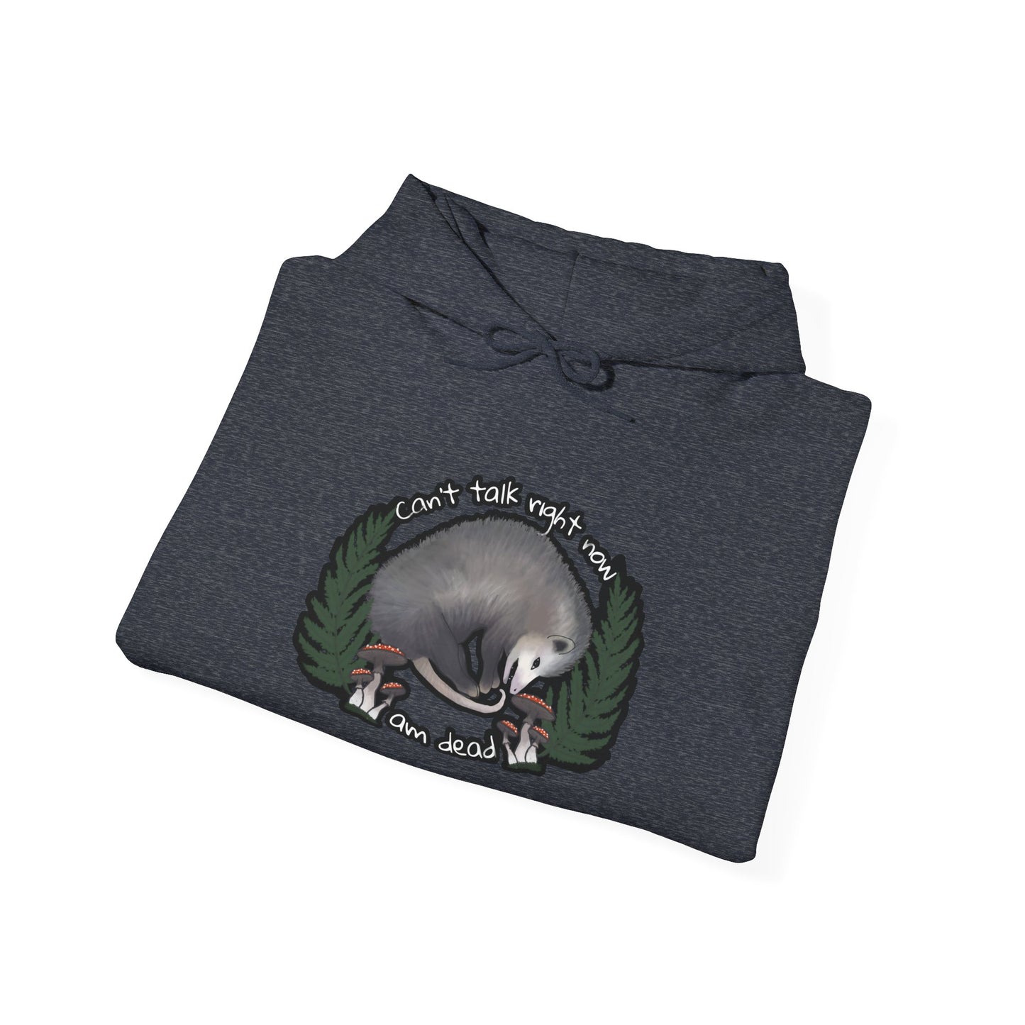 Hooded Sweatshirt - Raccoon Pick Up Your Trash Sign Design