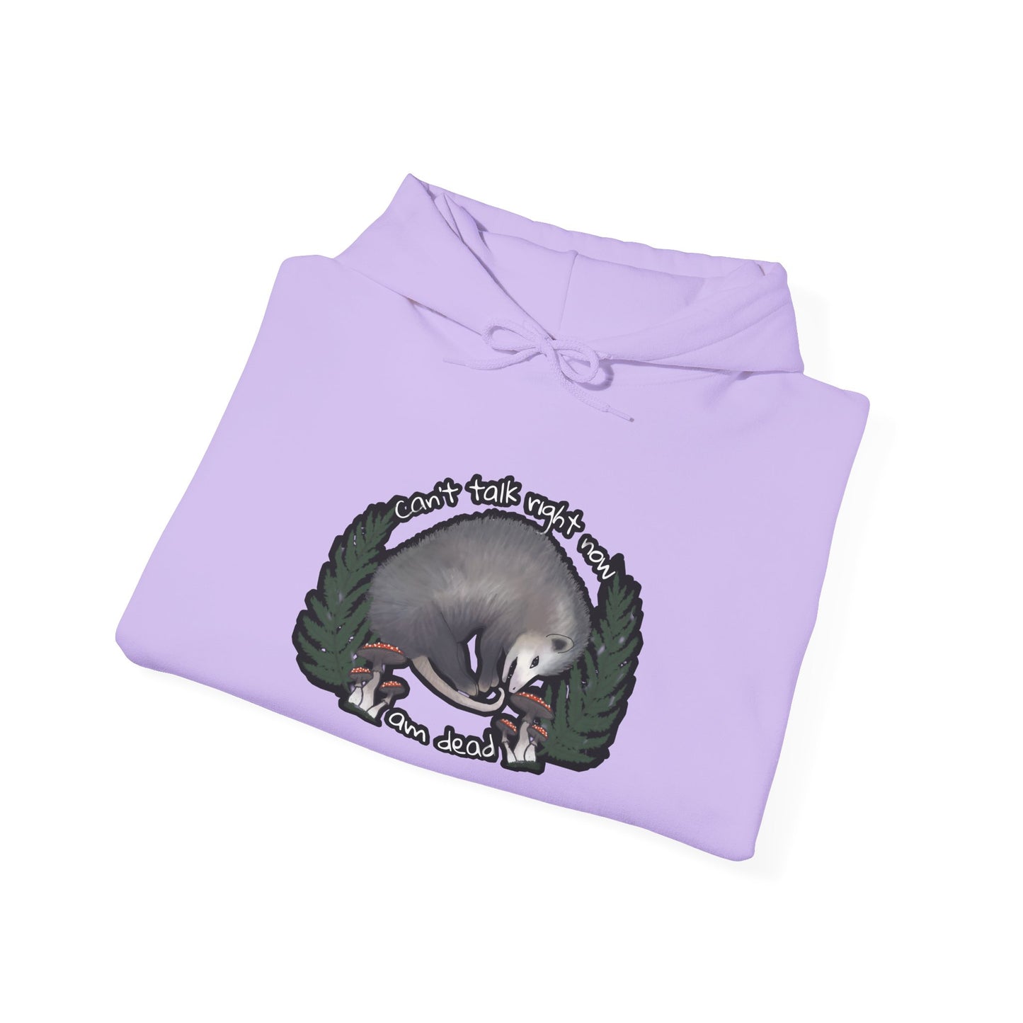 Hooded Sweatshirt - Raccoon Pick Up Your Trash Sign Design